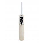 GM Icon Striker Kashmir Willow Cricket Bat